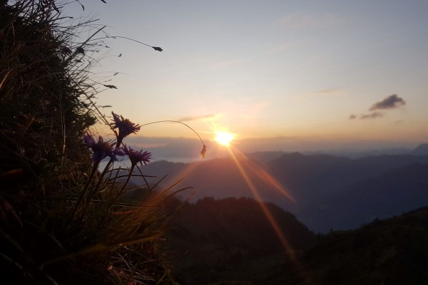 Sonnenaufgang Schuhflicker