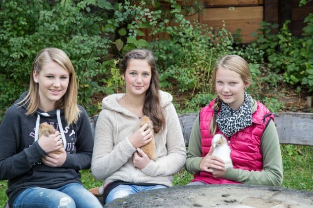 Besucht unseren Streichelzoo 