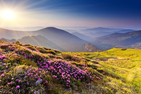 Berglandschaft im Sommer