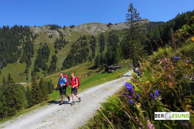 Geführte Wanderungen und vieles mehr © www.grossarltal.info