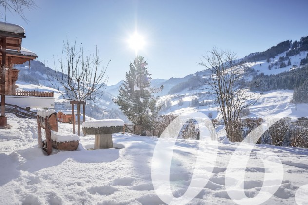 Bergwelt Salzburger Land